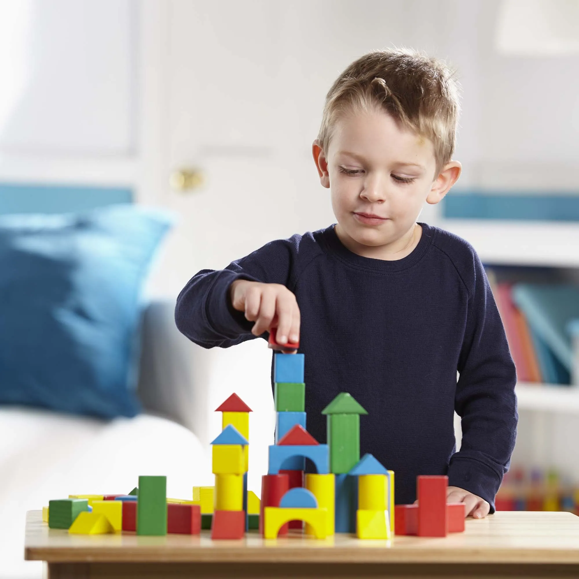 100 Wood Blocks Set