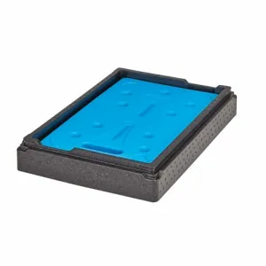 Cambro EPPCTSPKG110 Food Carrier