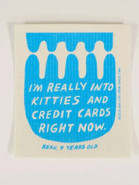 I'M REALLY INTO KITTIES AND CREDIT CARDS RIGHT NOW SWEDISH DISHCLOTH